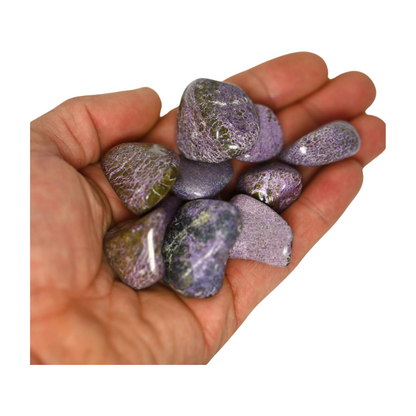 Stitchite - Self-Awareness