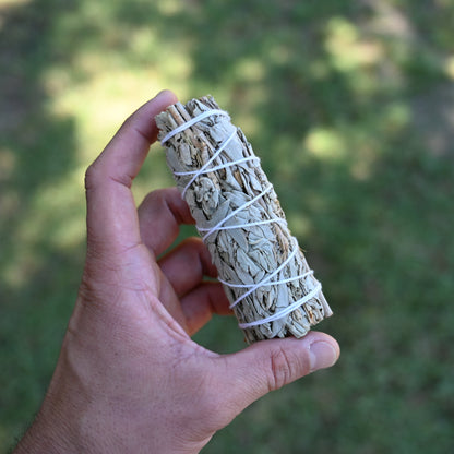 White Sage Bundle 4.5"